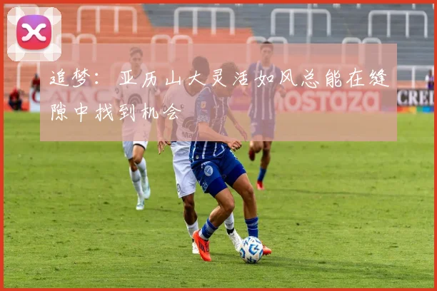 追梦：亚历山大灵活如风总能在缝隙中找到机会
